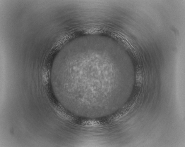 X0000115530503200911201722