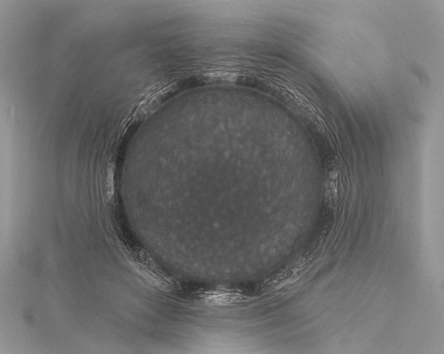 X0000115530504200911201722