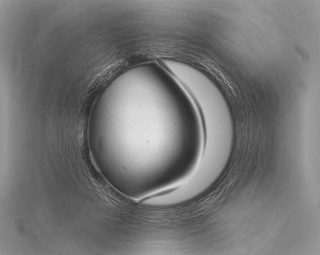 X0000115530505200911201722