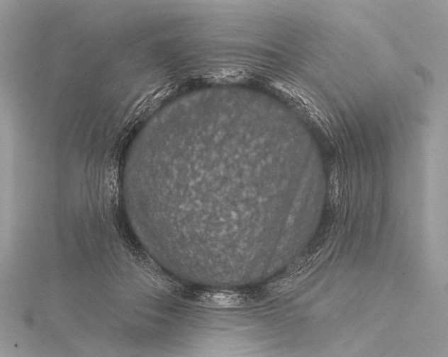 X0000115530506200911201722