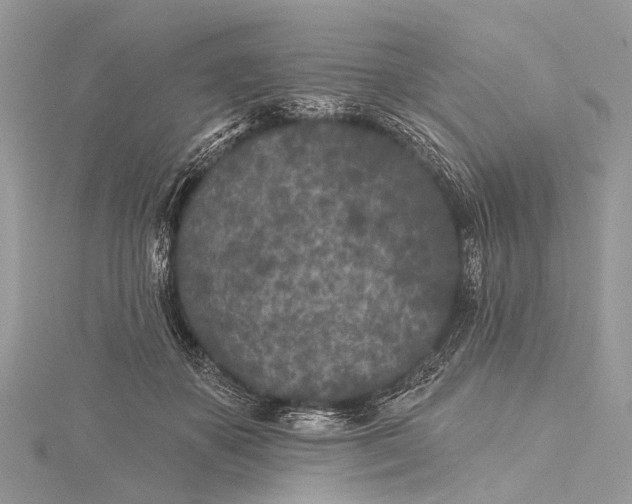 X0000115530507200911201722