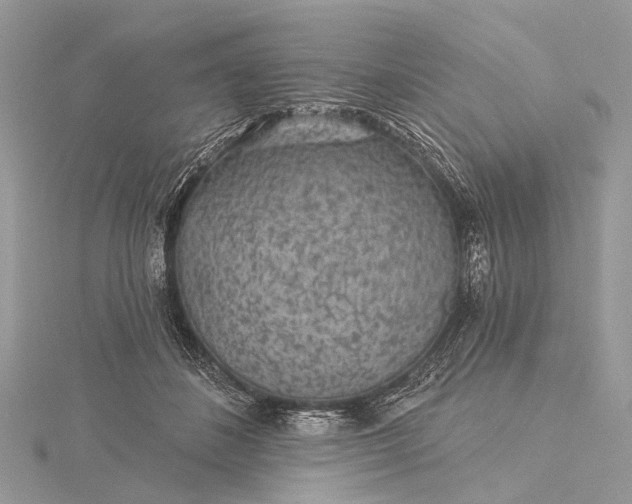 X0000115530508200911201722