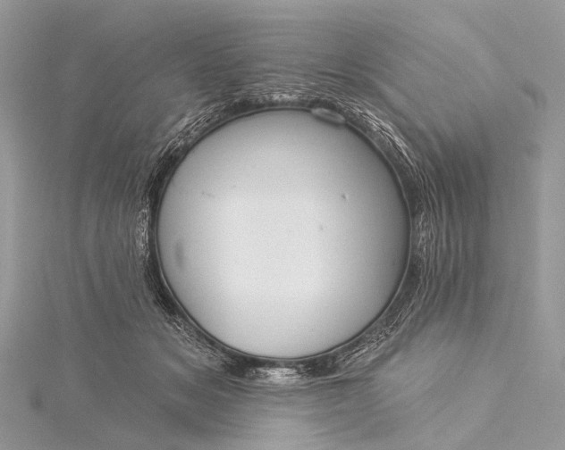 X0000115530509200911201722