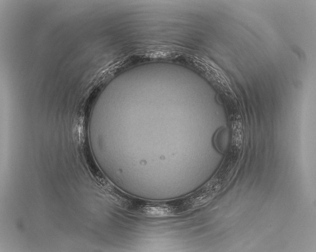 X0000115530510200911201722