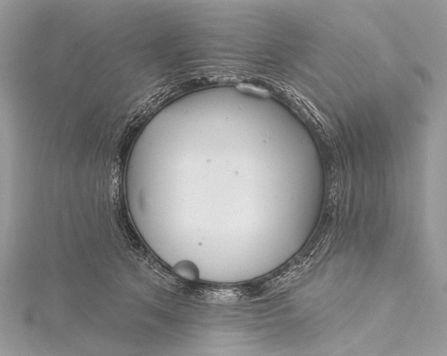 X0000115530513200911201722