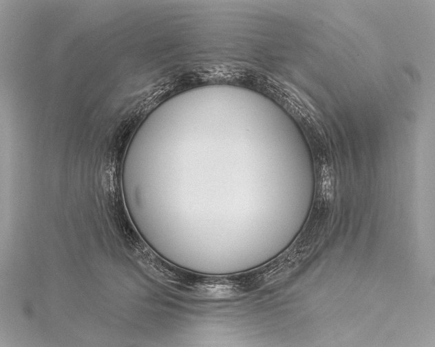 X0000115530514200911201722