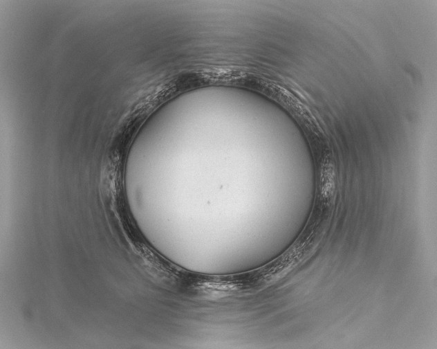 X0000115530515200911201722