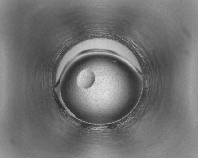 X0000115530516200911201722