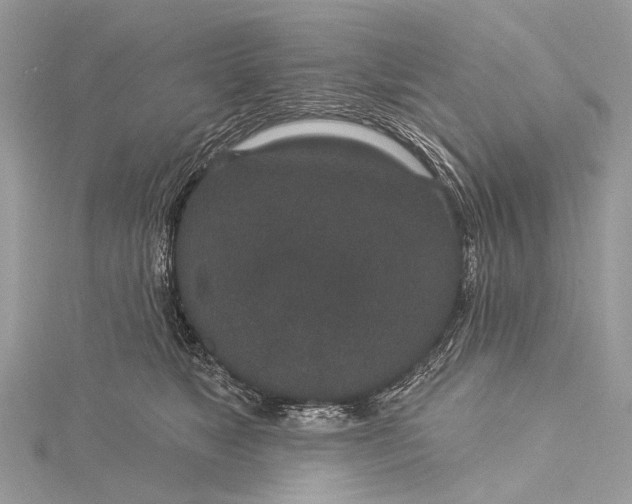 X0000115530517200911201722