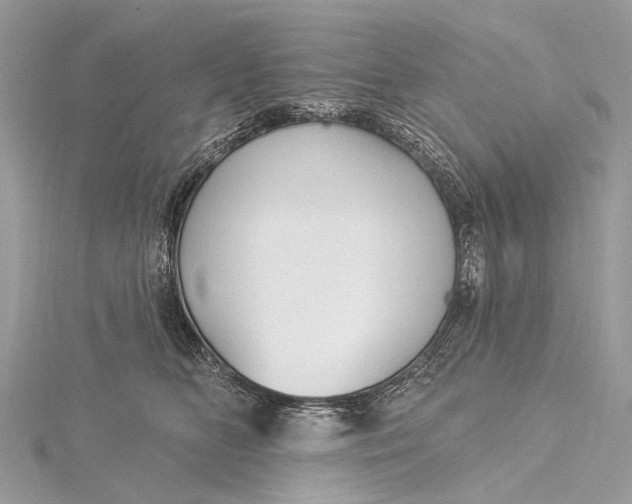 X0000115530518200911201722