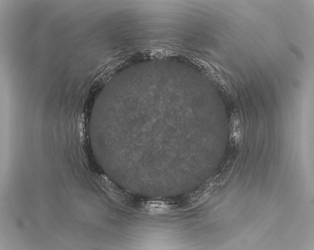 X0000115530519200911201722