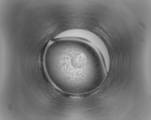 X0000115530520200911201722