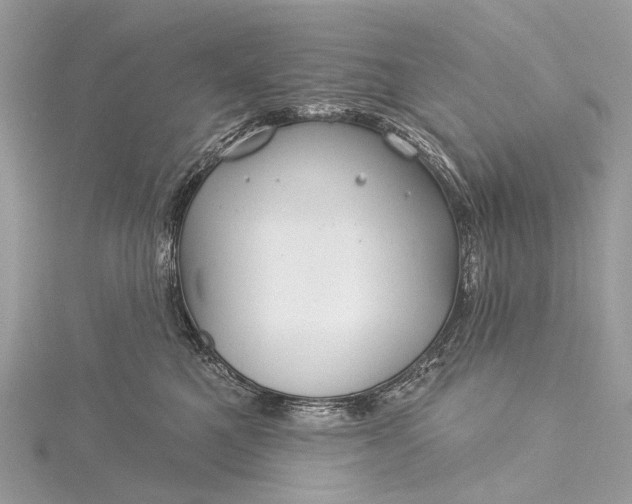 X0000115530521200911201722