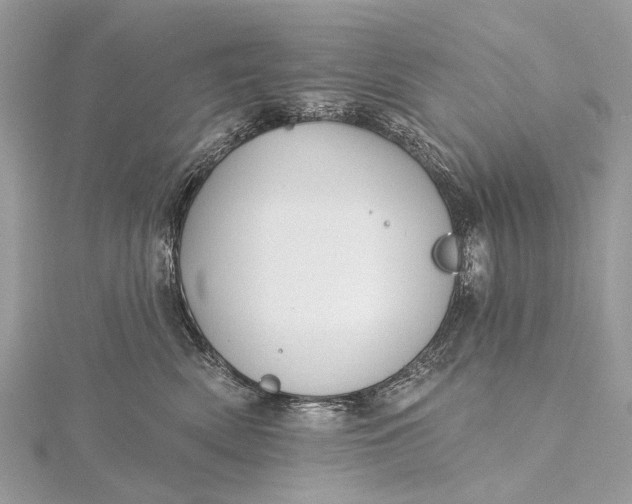 X0000115530522200911201722