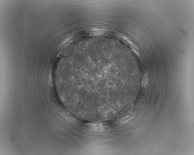 X0000115530524200911201722