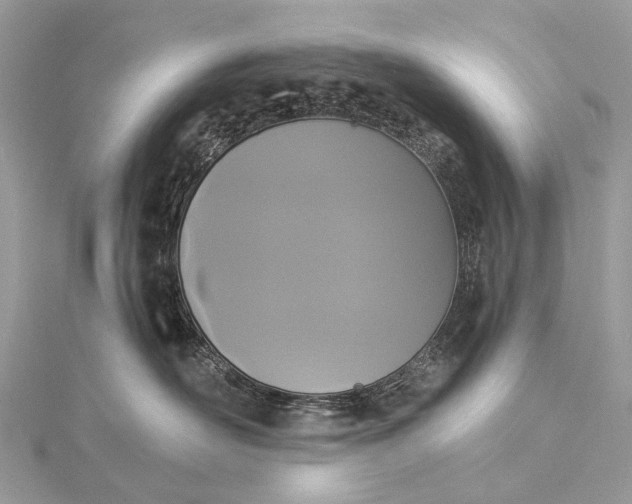 X0000115530526200911201722