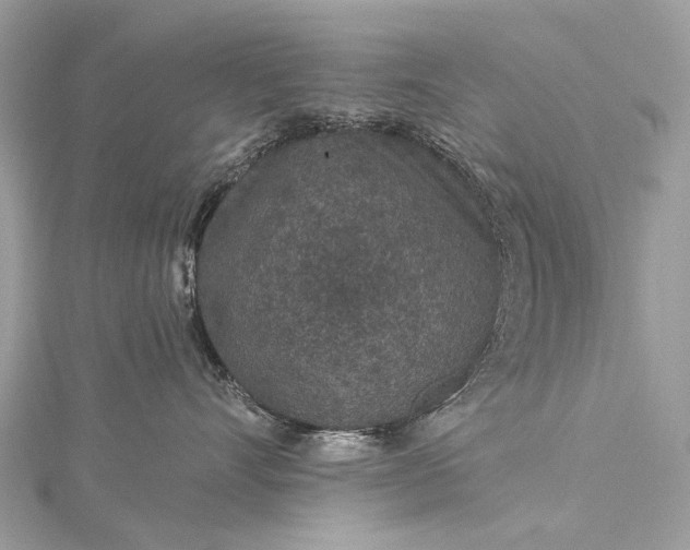 X0000115530528200911201722