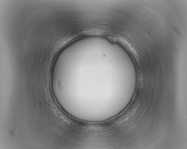 X0000115530529200911201721