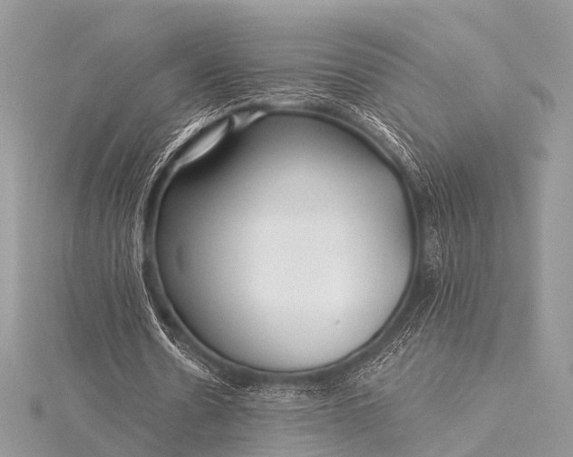 X0000115530530200911201721