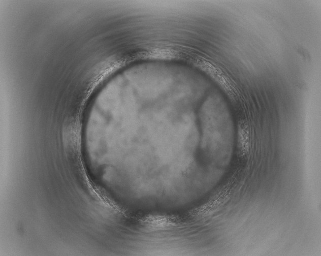 X0000115530534200911201721