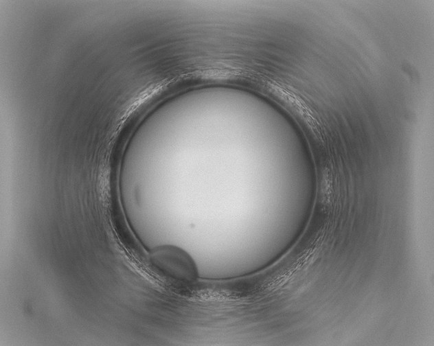 X0000115530535200911201721