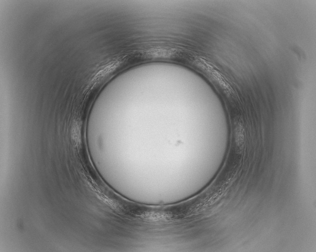 X0000115530537200911201721