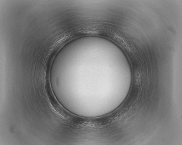 X0000115530538200911201721