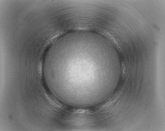 X0000115530542200911201721