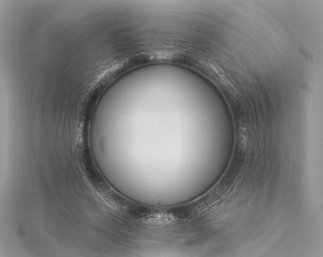 X0000115530543200911201721