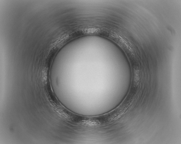 X0000115530545200911201722