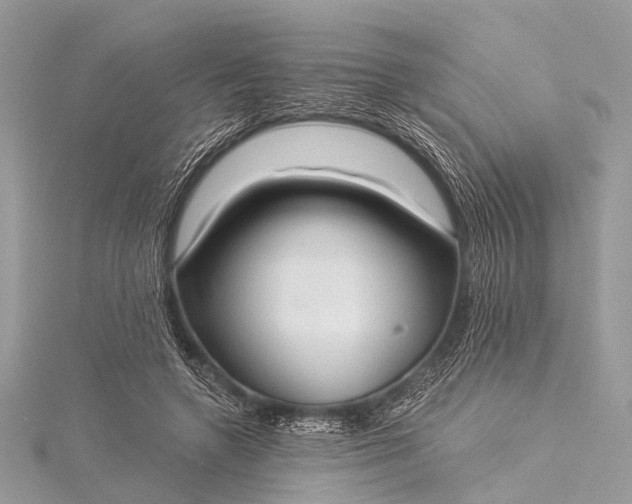 X0000115530546200911201722