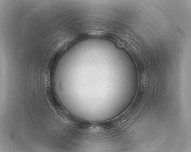 X0000115530547200911201722