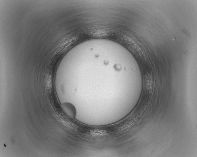 X0000115530549200911201722