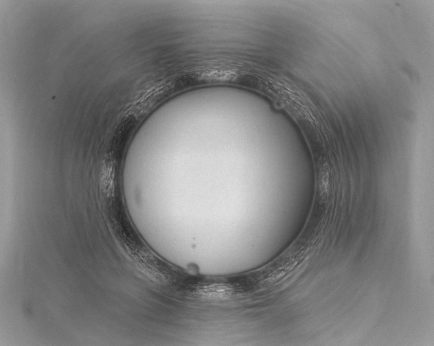 X0000115530551200911201722