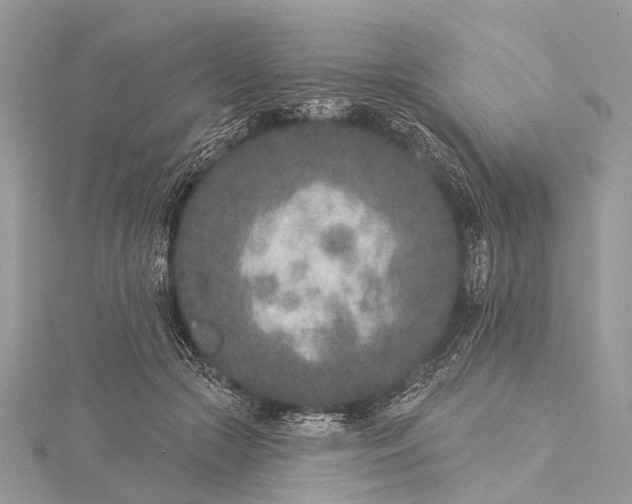 X0000115530553200911201722