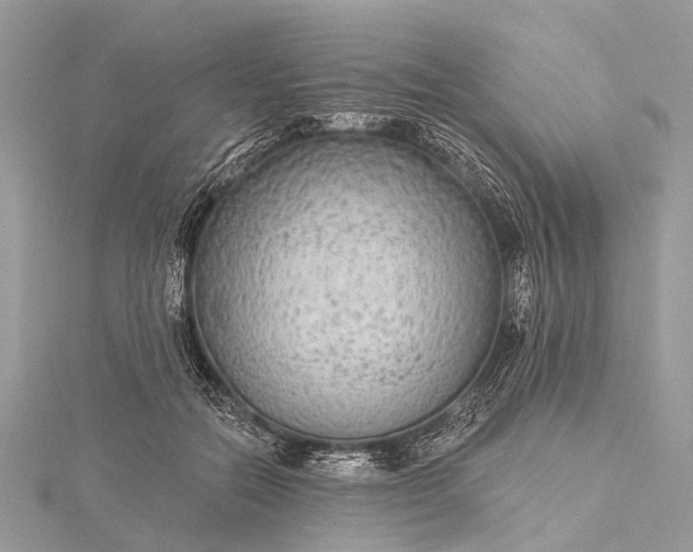 X0000115530554200911201722