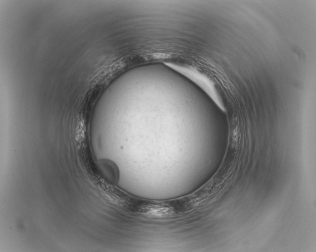 X0000115530555200911201722