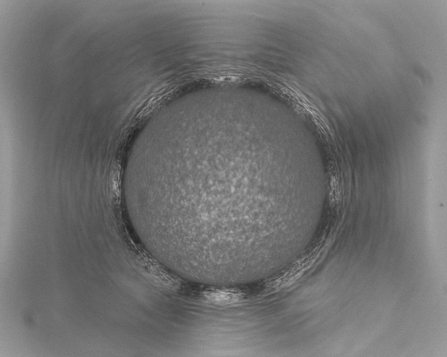 X0000115530561200911201722