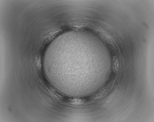 X0000115530562200911201722