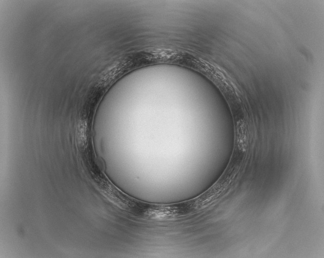 X0000115530563200911201722