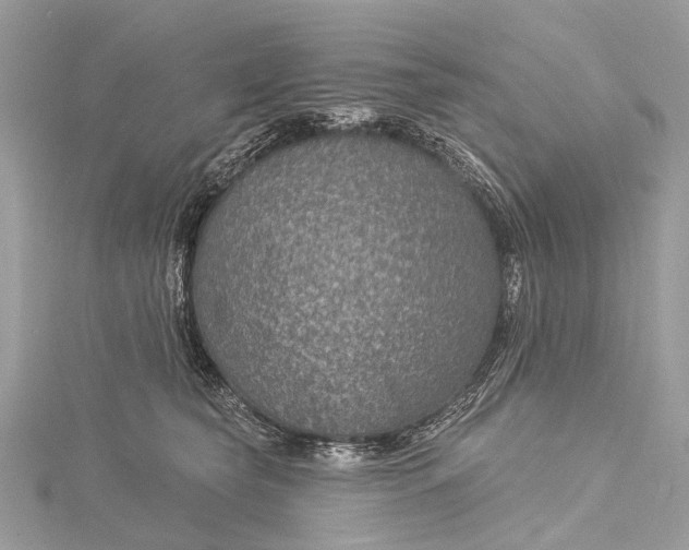 X0000115530565200911201722