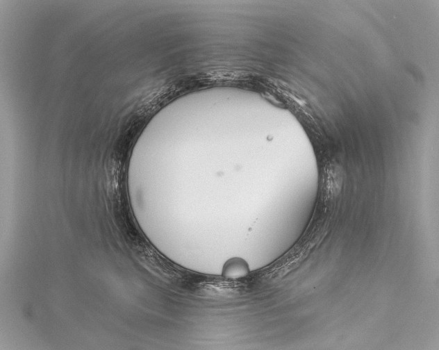 X0000115530567200911201722