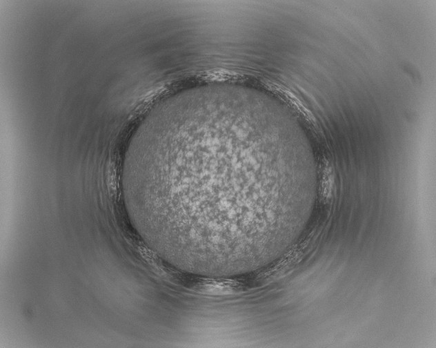 X0000115530569200911201722