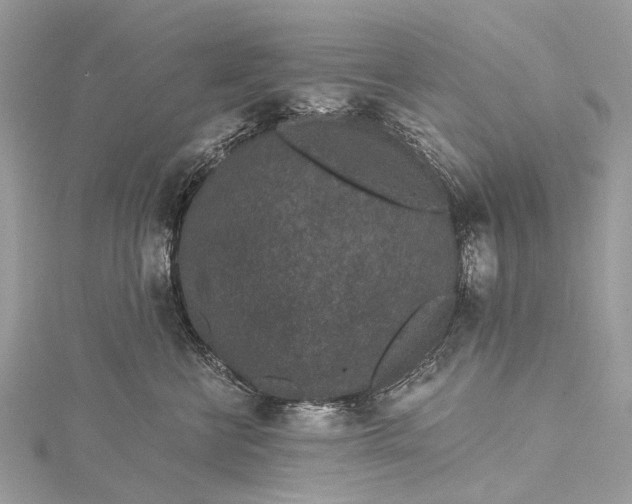 X0000115530570200911201722