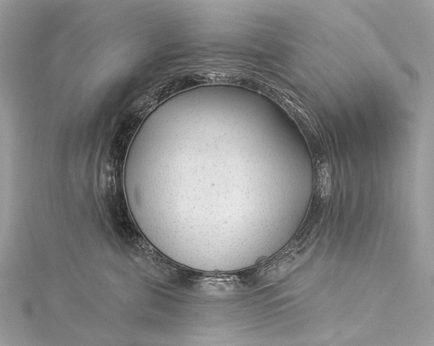 X0000115530571200911201722