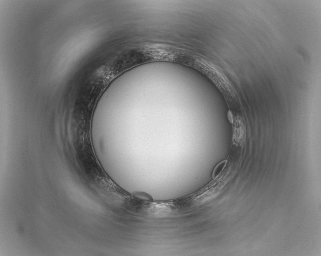 X0000115530573200911201722