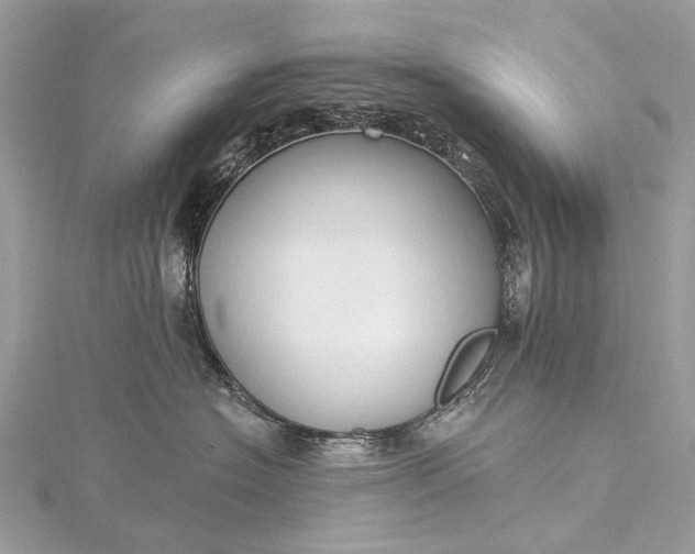 X0000115530574200911201722