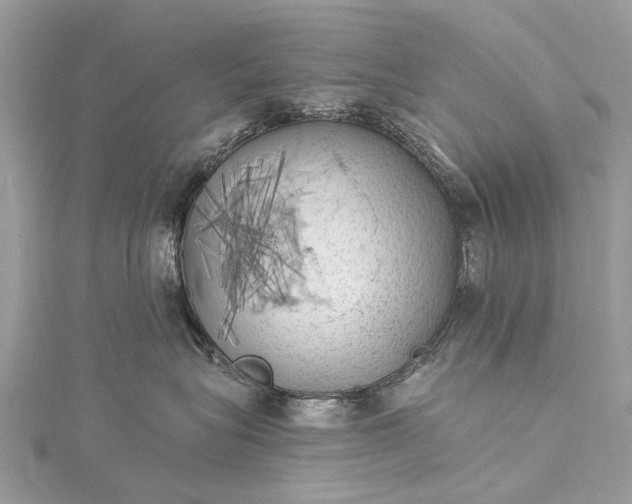 X0000115530575200911201722