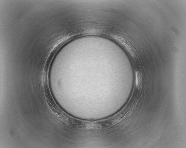 X0000115530579200911201721