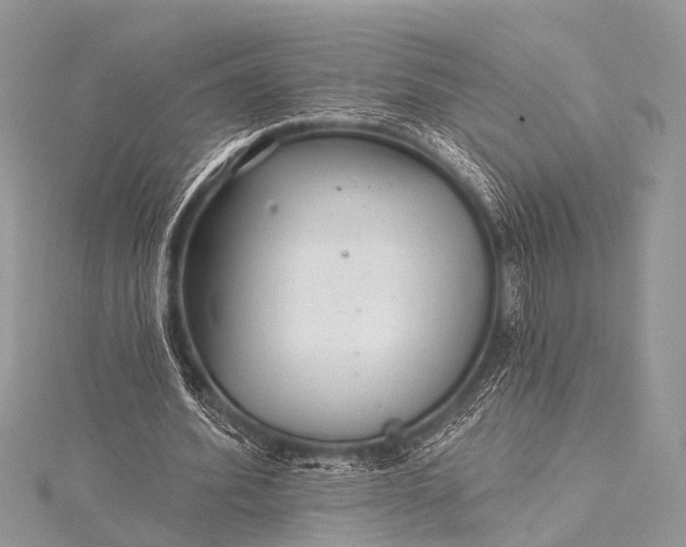 X0000115530580200911201721